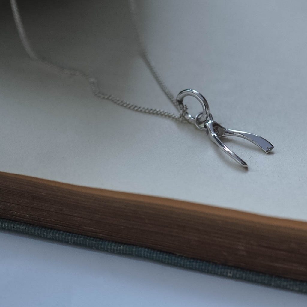 Wishbone Necklace in Silver